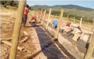 Mikinduri_Feedlots_5